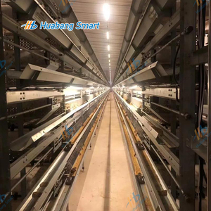 5 Tier completamente automatico tipo H gabbia di batteria di quaglia con l'alta qualità - Product Image 3