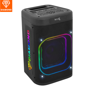 Haut-parleur Bluetooth portable 8 pouces pour la danse carrée, le DJ, le karaoké, le chant en extérieur, avec éclairage LED RGB et batterie - Product Image 2