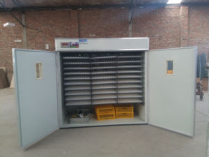 D'économie d'énergie <span class=keywords><strong>5000</strong></span> poulet oeuf incubateur <span class=keywords><strong>prix</strong></span> pour vente HJ-I18 incubateur oeuf machine à couver - Product Image 4