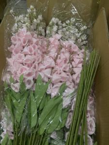 Campanulas Artificiales de Seda al por Mayor, Flores de Campana Medianas Blancas para Decoración de Bodas, Hogar, Navidad y Año Nuevo - Product Image 6