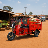 Tricycle cargo à essence 110CC-150CC, refroidissement par eau, quatre temps, moto à trois roues, capacité de charge de 500 kg pour le transport agricole en Afrique