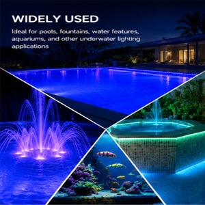 Lumière LED pour piscine, DC24V 10W RGB IP68, étanche sous l'eau, pour villa, aquarium, bac à poissons, bande lumineuse LED - Product Image 2