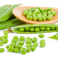 Poudre de protéines de pois isolées végétaliennes fournies par le fabricant