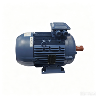 Moteurs asynchrones triphasés basse tension Weg W21 4P 45KW 400V 50HZ AC
