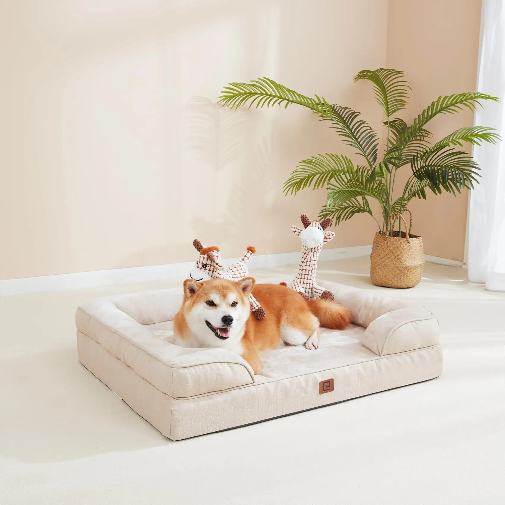 Smail Dogs를 위한 정형외과 개 침대, 30.0 _ L x 20.0 _ W x 6.5 _ th 베이지 방수 메모리 폼 측면이있는 개 침대