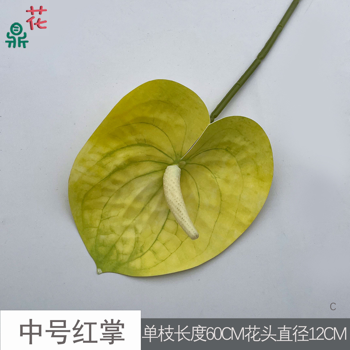 Anthurium rouge moyen C 29 jaune