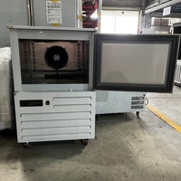 Máquina de Producción de Helados en Gel de Congelación Rápida -40 ° Congelador Comercial de Congelación Rápida para Moldes de Silicona 3D para Helados