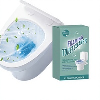 Nettoyant WC Moussant Transfrontalier en Poudre Effervescente, Détartrant, Désodorisant et Détachant Domestique 150g Guangdong