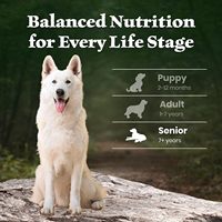 Blue Buffalo Wilderness Lam & Gezonde Granen Senior Droogvoer voor Honden