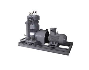 Compresor de vapor pequeño de tipo correa con conversión de frecuencia, lubricación sin aceite, refrigerado por aire y de movimiento alternativo. - Product Image 3