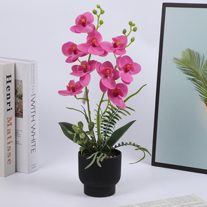 ผนังดอกกล้วยไม้ประดิษฐ์เหมือนจริง กระถางน่ารัก เป็นมิตรกับสิ่งแวดล้อม น้ำหนักเบา เหมาะสำหรับตกแต่งงานแต่งงานและสุสานในจีน - Product Image 4