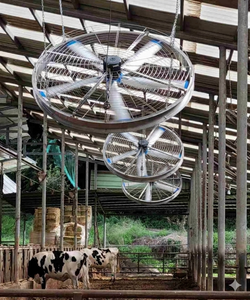 Ventilador de Establos de Acero Inoxidable 304 Antioxidante para Refugios Equinos, Bajo Nivel de Ruido, Mantiene a los Animales Calmados, Alta Eficiencia - Product Image 2