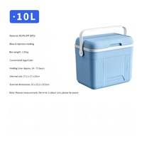 Mini-réfrigérateur portable isotherme 10L pour voiture, glacière robuste en PU pour camping extérieur, canettes, aliments et boissons