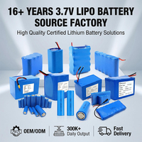 Pack de batteries 18650 personnalisé 11.1V 12V 3S2P 5000mAh 6000mAh pour enceinte Bluetooth