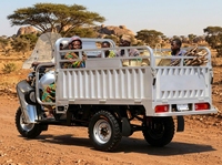Tricycle de fret personnalisable de 200 cm³ refroidi par air avec freins à tambour avant et arrière pour les marchés d'Afrique et d'Asie du Sud-Est