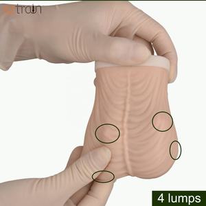 Modello <span class=keywords><strong>TSE</strong></span> di Grandi Dimensioni per l'Educazione all'Autoesame Testicolare e alla Rilevazione di Tumori Maschili - Product Image 3