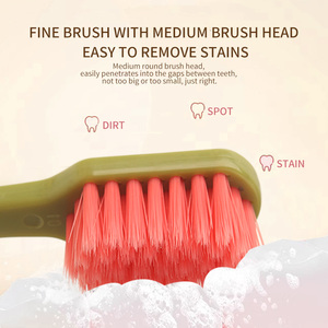 <span class=keywords><strong>Brosse</strong></span> à <span class=keywords><strong>dents</strong></span> adulte <span class=keywords><strong>souple</strong></span> PBT de haute qualité à bas prix <span class=keywords><strong>brosse</strong></span> à <span class=keywords><strong>dents</strong></span> adulte en plastique avec carte blister individuelle - Product Image 4