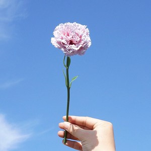 ผ้าไหมประดิษฐ์ทำมือลายหมึกสาขาเดียวขนาดเล็ก SN-AF149ดอกไม้ประดิษฐ์ที่เป็นมิตรต่อสิ่งแวดล้อมบ้านโรงแรมมอลล์ตกแต่งงานแต่งงาน - Product Image 5