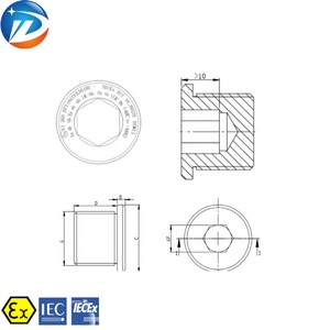 Tapón <span class=keywords><strong>de</strong></span> Rosca <span class=keywords><strong>Macho</strong></span> NPT Métrico G IP66 <span class=keywords><strong>de</strong></span> Latón y <span class=keywords><strong>Acero</strong></span> <span class=keywords><strong>Inoxidable</strong></span>, Impermeable y a Prueba <span class=keywords><strong>de</strong></span> Explosiones, con Certificado ATEx IECEx - Product Image 6