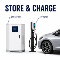 Système d'alimentation micro-réseau de qualité industrielle IP54, éolienne à entraînement direct, batterie LFP, durée de vie de 20 ans, énergie renouvelable, série GW