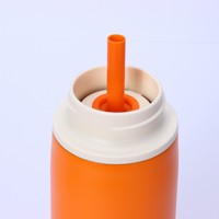 Gourde isotherme sport portable en acier inoxydable à double paroi, sans BPA, écologique, avec couvercle à bec verseur, paille et poignée en silicone