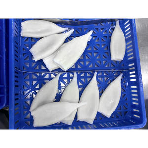 Tube de calmar <span class=keywords><strong>géant</strong></span> congelé IQF, coupé proprement, <span class=keywords><strong>prix</strong></span> de gros, calmar Illex U5 U7 U10 d'Argentine - Product Image 1