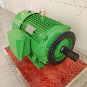 Motor de CA Trifásico de 300 HP, 3600 RPM, 449TSC, 2 Polos, Alta Eficiencia, Alto Torque, Motor de Hierro Fundido, Instalación Vertical, OEM, 60 Hz - Product Image 6