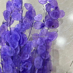 Steli di Lunaria Annua Essiccati e Conservati in Beige, Bianco, Verde, Rosa, <span class=keywords><strong>Viola</strong></span> e Argento per Decorazioni Casa, Feste, San Valentino, Festa della Mamma, Laurea - Product Image 6