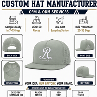 Casquette Snapback à 5 Panneaux Vert Sauge Personnalisée avec Panneaux Perforés au Laser pour le Golf, le Streetwear, OEM, ODM, Vente en Gros