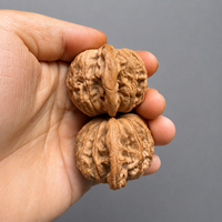 Paire de têtes de lion Mopan en noyer Wenwan naturel de qualité supérieure, noyaux de noyer à 2 nervures assortis à la main pour collection et exposition