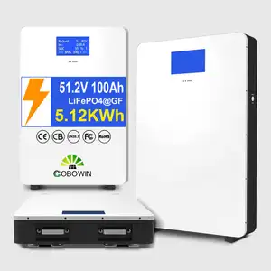 Cobowin Energy 10years 12years Warranty Lifepo4 Lithium Battery 5.12kwh 10kwh 15kwh 20kwh 48v Home Energy Storage Powerwall
