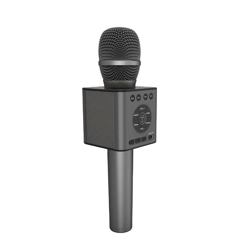 HOT Classic Model ! Wireless TOSING Q12 Portable Wireless Karaoke Microphone 10W speaker USB playback FM Transmission chorus
