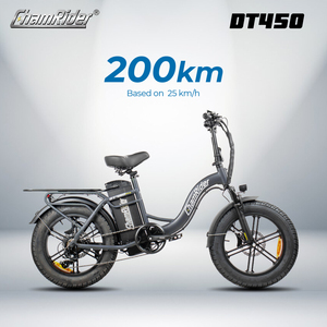 Chamrider DT450 Prêt à être expédié Vélo électrique à pneus larges de 20 pouces avec batterie amovible longue portée 48V 50ah pour la <span class=keywords><strong>livraison</strong></span> de nourriture - Product Image 2