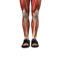 Zapatillas de masaje inteligente para pies Tens, estimulador muscular, zapatos de masaje, alivio del dolor