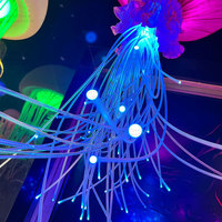Lumière de plafond à fibres optiques LED, lampes de jardin extérieures, lampes solaires, étanches, décoration paysagère, IP65, personnalisées