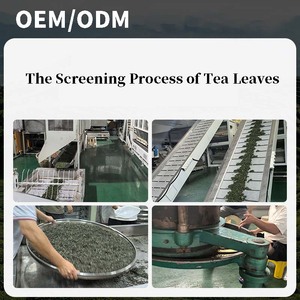 Thé vert en vrac/sachets de thé OEM/ODM de qualité supérieure, thé vert 100% pur, boisson quotidienne naturelle caféinée - Product Image 4