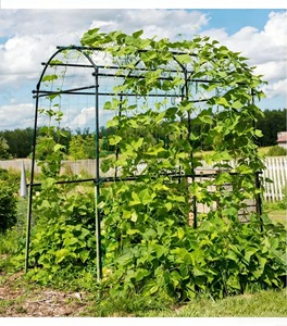 Clips métalliques pour plantes de jardin, panneaux de clôture en <span class=keywords><strong>bambou</strong></span>, banc, lit de culture surélevé, <span class=keywords><strong>pergola</strong></span>, treillis noir pour plantes grimpantes - Product Image 2