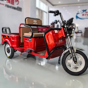 500W piccolo stile triciclo elettrico 3 ruote trike elettrico con fliping scatola di immagazzinaggio per cargo & passeggero