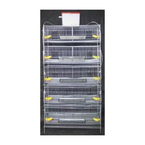 Equipo Comercial de 5 Niveles Tipo H para Alimentación de Codornices y Gallinas Ponedoras, Maquinaria Agrícola, Piezas de 40 kg, 1 Año de Garantía - Product Image 3