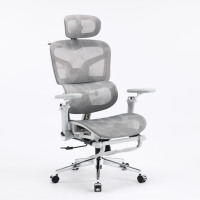 Fauteuil de Bureau Exécutif Moderne et Ergonomique avec Accoudoirs Confortables, Soutien Lombaire et Dossier en Maille Réglable et Pivotant