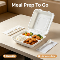 Biologisch afbreekbare wegwerp bento box van suikerrietpulp, magnetronbestendig met afsluitbaar deksel, voor croissant/gebak/fruit