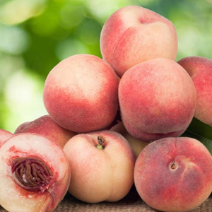 Sichuan <span class=keywords><strong>Miel</strong></span> Melocotones Frescos Junio a Agosto Pico 200-300g Por Fruta 5-8kg Por Cartón 12-16 ° Brix Azúcar - Product Image 3