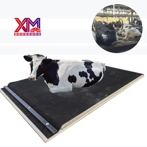 Colchón <span class=keywords><strong>de</strong></span> Cama para Establos <span class=keywords><strong>de</strong></span> Vacas en Granjas Lecheras, Cubierta <span class=keywords><strong>de</strong></span> Goma <span class=keywords><strong>de</strong></span> Alta Resistencia, Colchoneta <span class=keywords><strong>de</strong></span> Espuma para Recostarse, Servicio <span class=keywords><strong>de</strong></span> Corte para Máximo Confort <span class=keywords><strong>de</strong></span> las Vacas - Product Image 1