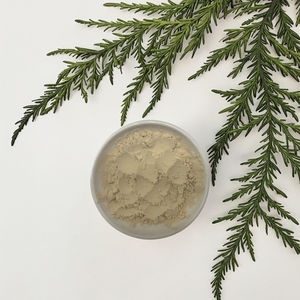 Экстракт женьшеня Panax водорастворимый, 10-80% гинзенозидов (УФ-стабилизированных) - Product Image 2