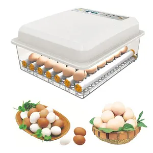 Incubadora de huevos automática para el hogar, tamaño pequeño, para incubar huevos