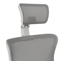 Chaise ergonomique à dossier haut entièrement en maille, 150 kg, chaise de bureau ergonomique pour adulte, siège moderne en métal, hauteur réglable