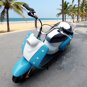 HAYA 49cc 2 roues 2 temps <span class=keywords><strong>Pocket</strong></span> <span class=keywords><strong>Bike</strong></span> Mini Moto pour enfants avec moteur à essence/diesel et <span class=keywords><strong>vitesse</strong></span> maximale de 45 km/h - Product Image 2