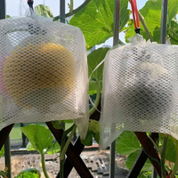 Filet anti-insectes à 80 mailles: filet anti-parasites, filet anti-oiseaux, filet en plastique coupe-vent,