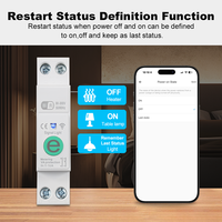 Disjoncteur intelligent WiFi Ewelink 16A 1P+N avec compteur Kwh, relais temporisé, protection contre les surtensions et les surintensités, compatible Alexa, Google Home, Alice