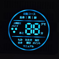Panel de Pantalla LED de 7 Segmentos Personalizado Profesional para Silla de Masajes, Módulo de Temporizador de Doble Dígito para Equipos de Bienestar